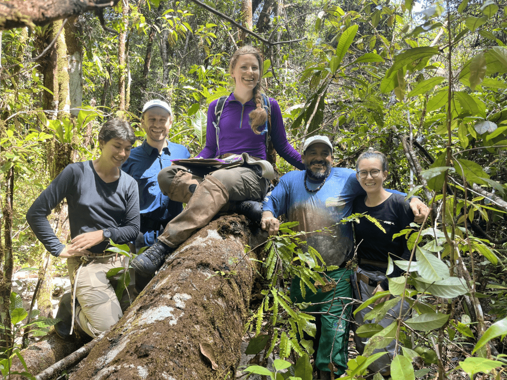 Gigante team in the forest