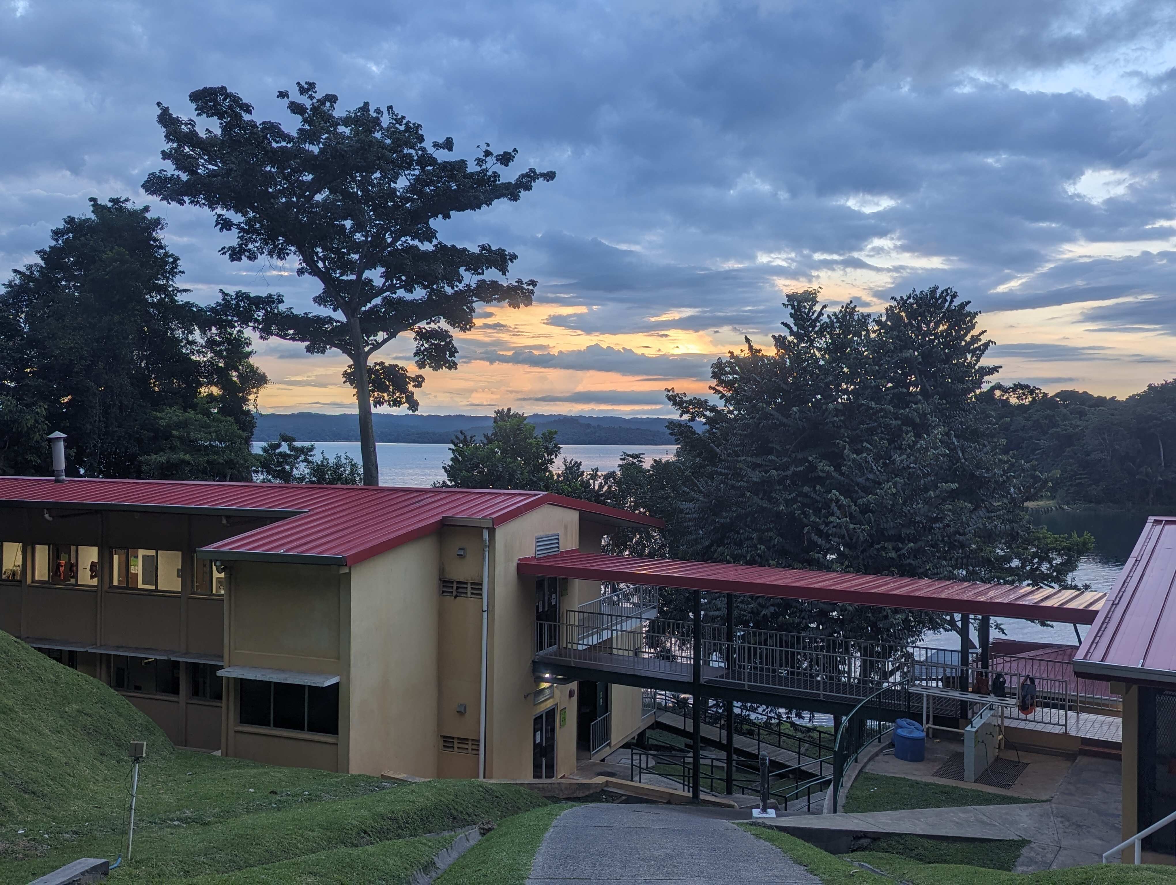 The field station at Barro Colorado Island