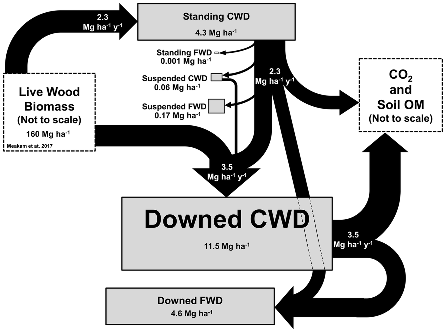 Dead Wood Necromass in a Moist Tropical Forest: Stocks, Fluxes, and Spatiotemporal Variability