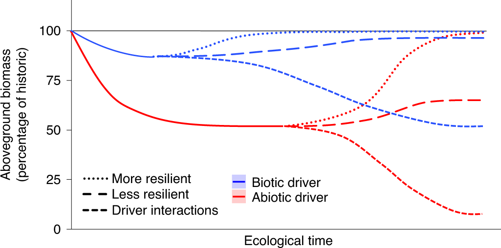 Implications of size-dependent tree mortality for tropical forest carbon dynamics
